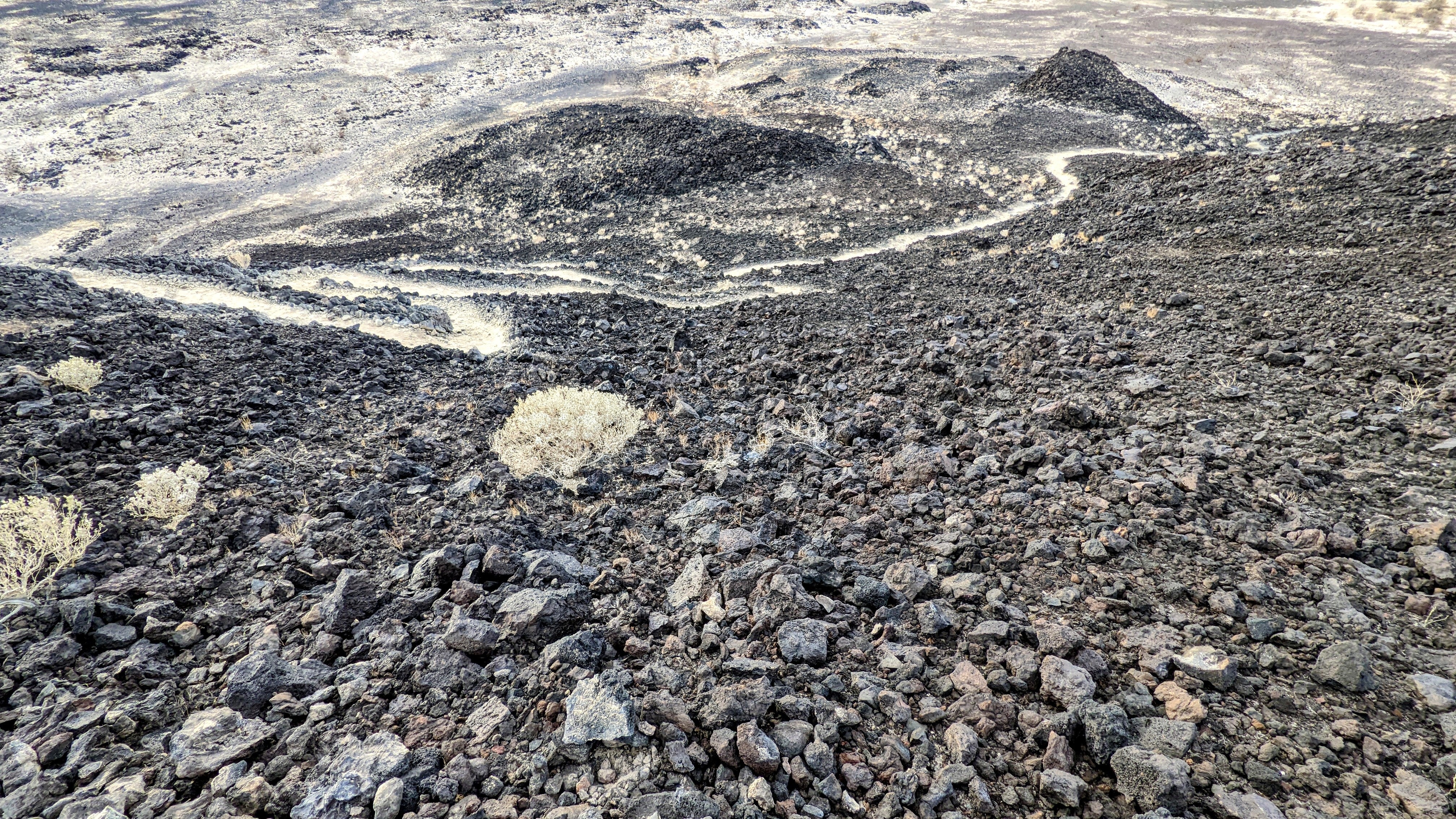 Camper submitted image from Amboy Crater - 5