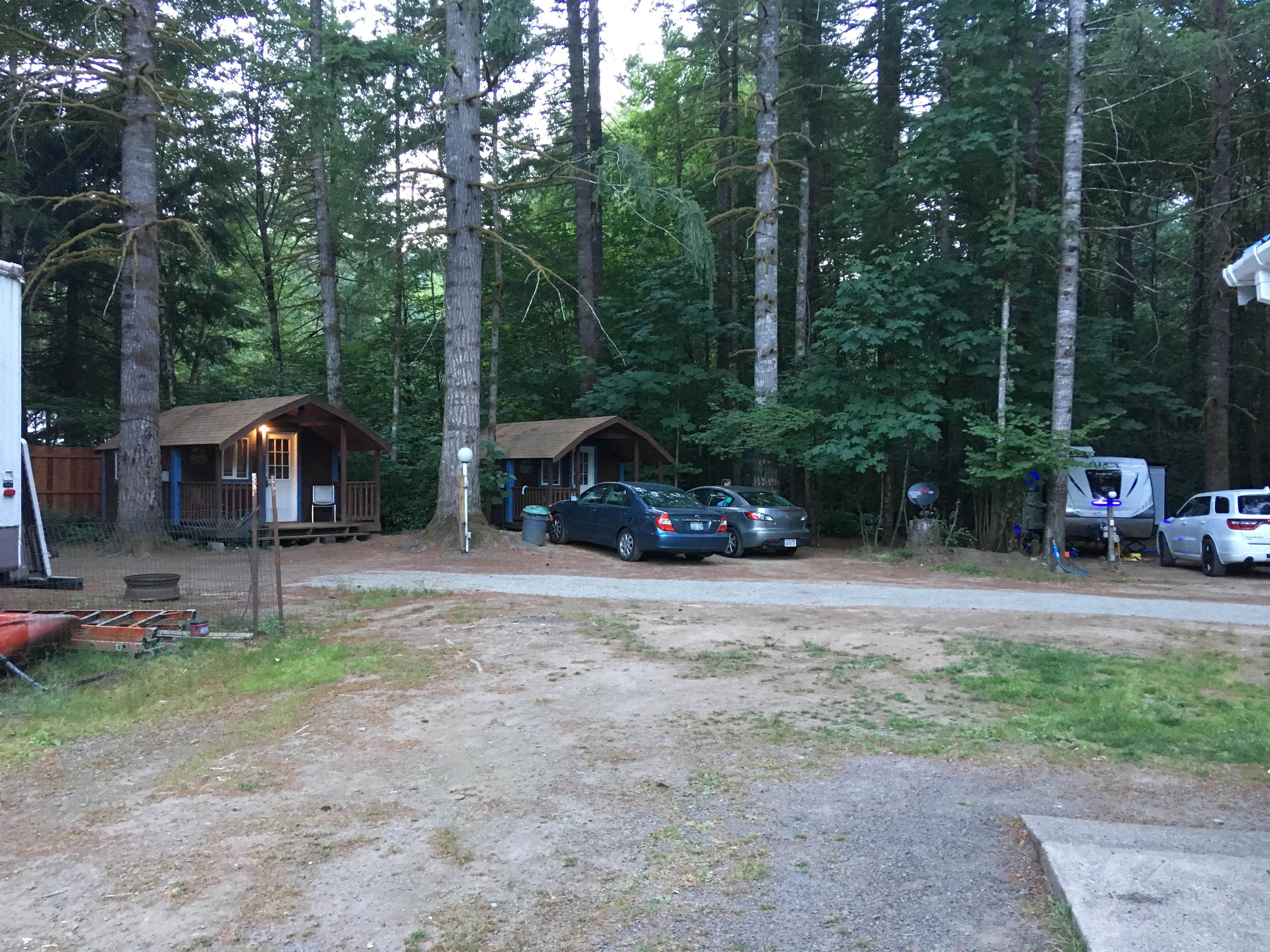 Camper submitted image from Cougar RV Park and Campground - 2
