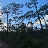 Review photo of Crooked River State Park Campground by Daniel S., January 13, 2022