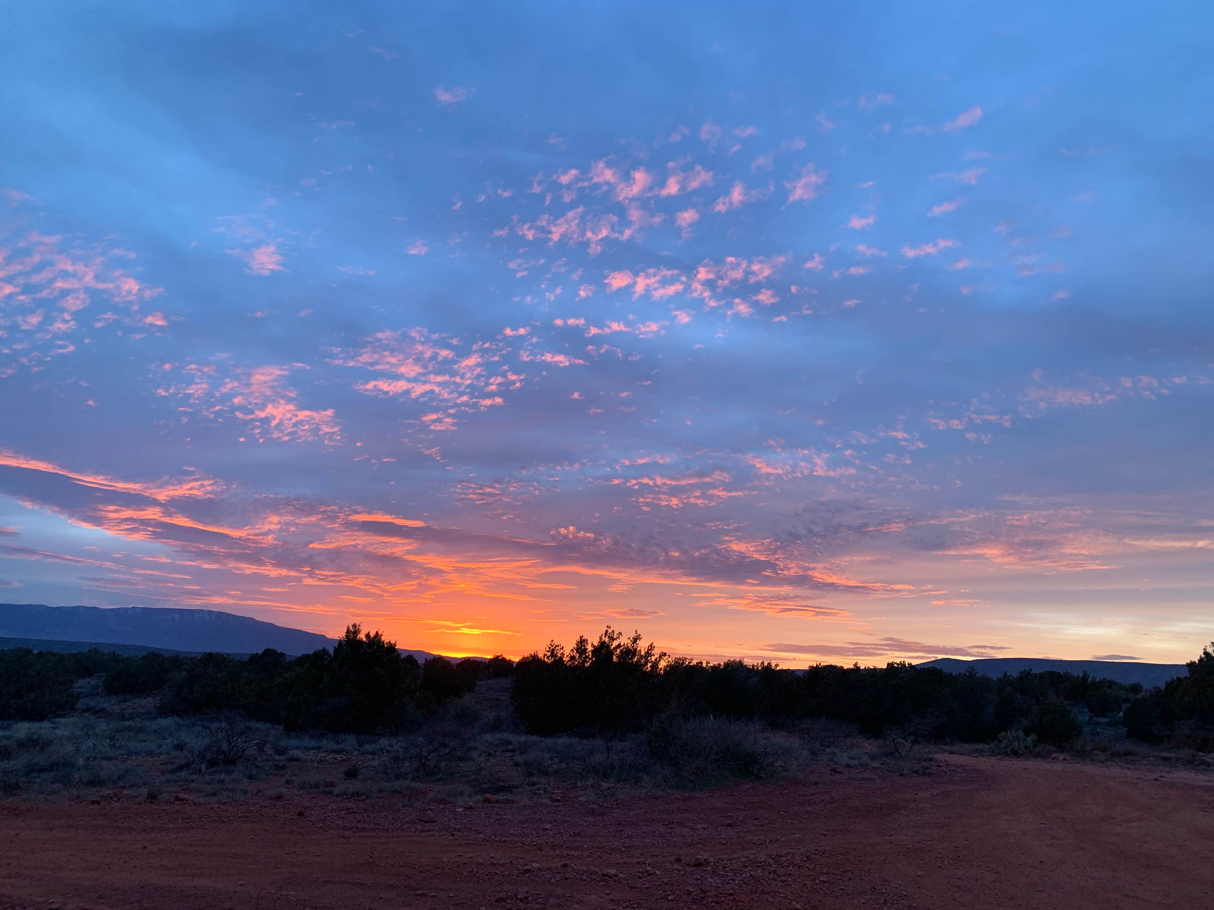 Sarah K.'s photo of a dispersed camping area at Forest Road 525 Dispersed Site - PERMANENTLY CLOSED near Jerome, AZ