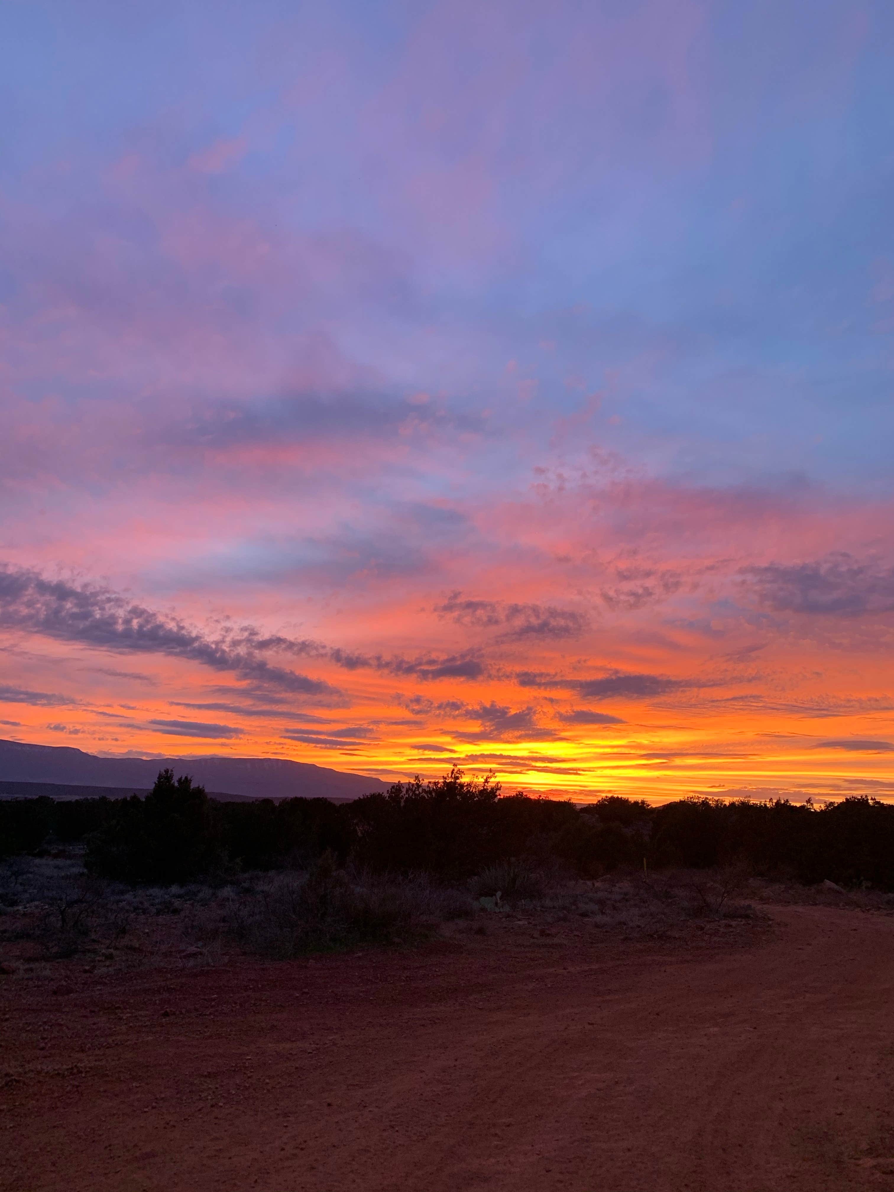 Sarah K.'s photo of a dispersed camping area at Forest Road 525 Dispersed Site - PERMANENTLY CLOSED near Cottonwood, AZ