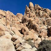 Review photo of Indian Cove Campground — Joshua Tree National Park by Andrea M., January 14, 2022