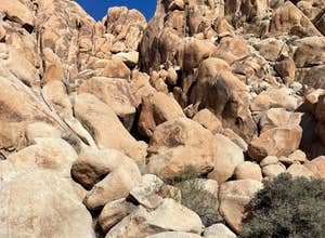 Indian Cove Campground — Joshua Tree National Park