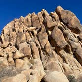 Review photo of Indian Cove Campground — Joshua Tree National Park by Andrea M., January 14, 2022