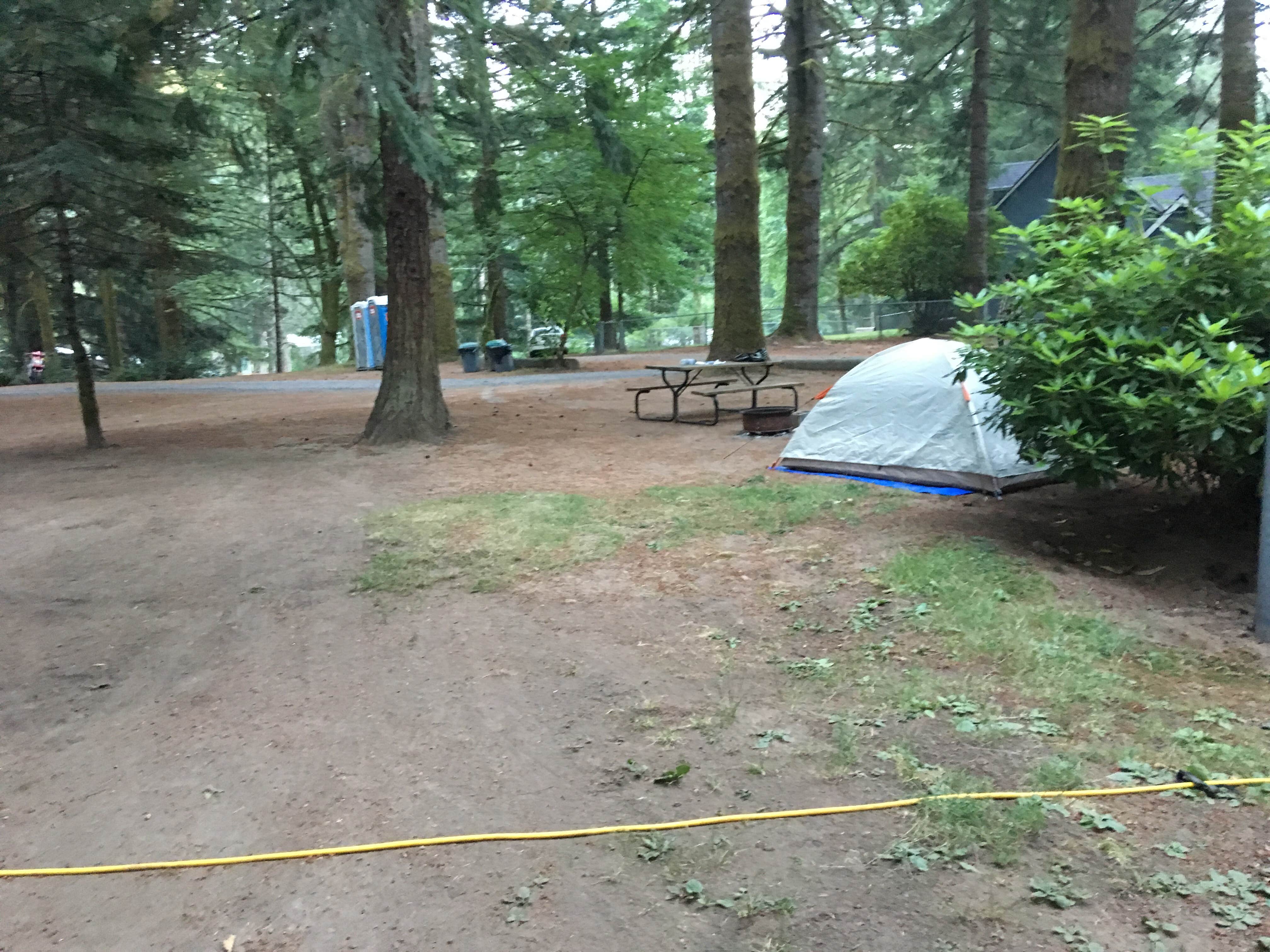 Celina M.'s photo at Cougar RV Park and Campground near Cougar, WA