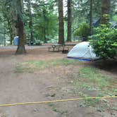 Review photo of Cougar RV Park and Campground by Celina M., July 9, 2018