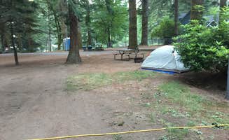 Celina M.'s photo at Cougar RV Park and Campground near Woodland, WA