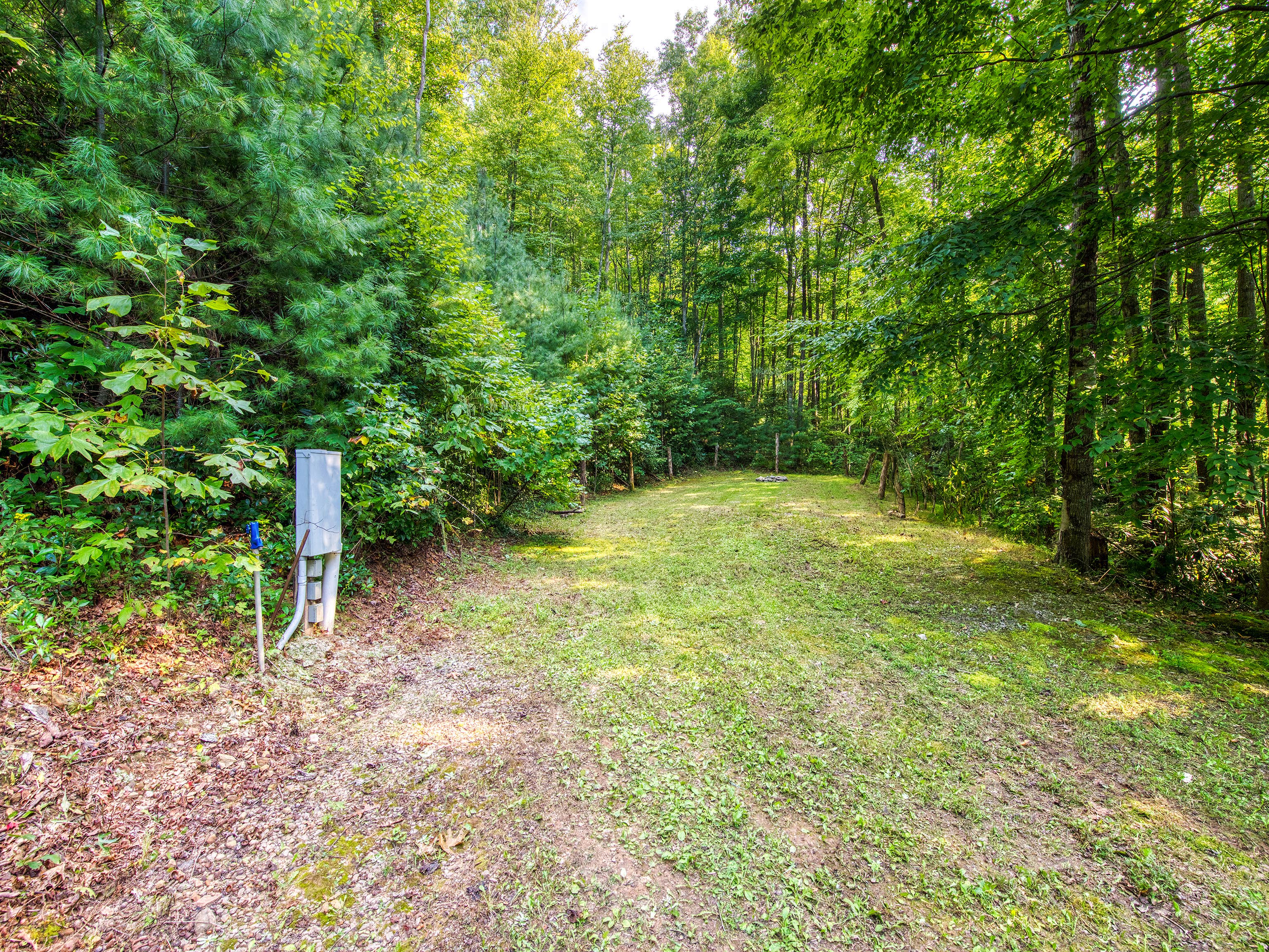 Camper-submitted photo at Falcon Expeditions - Big Creek Rustic Camp near Hartford, TN