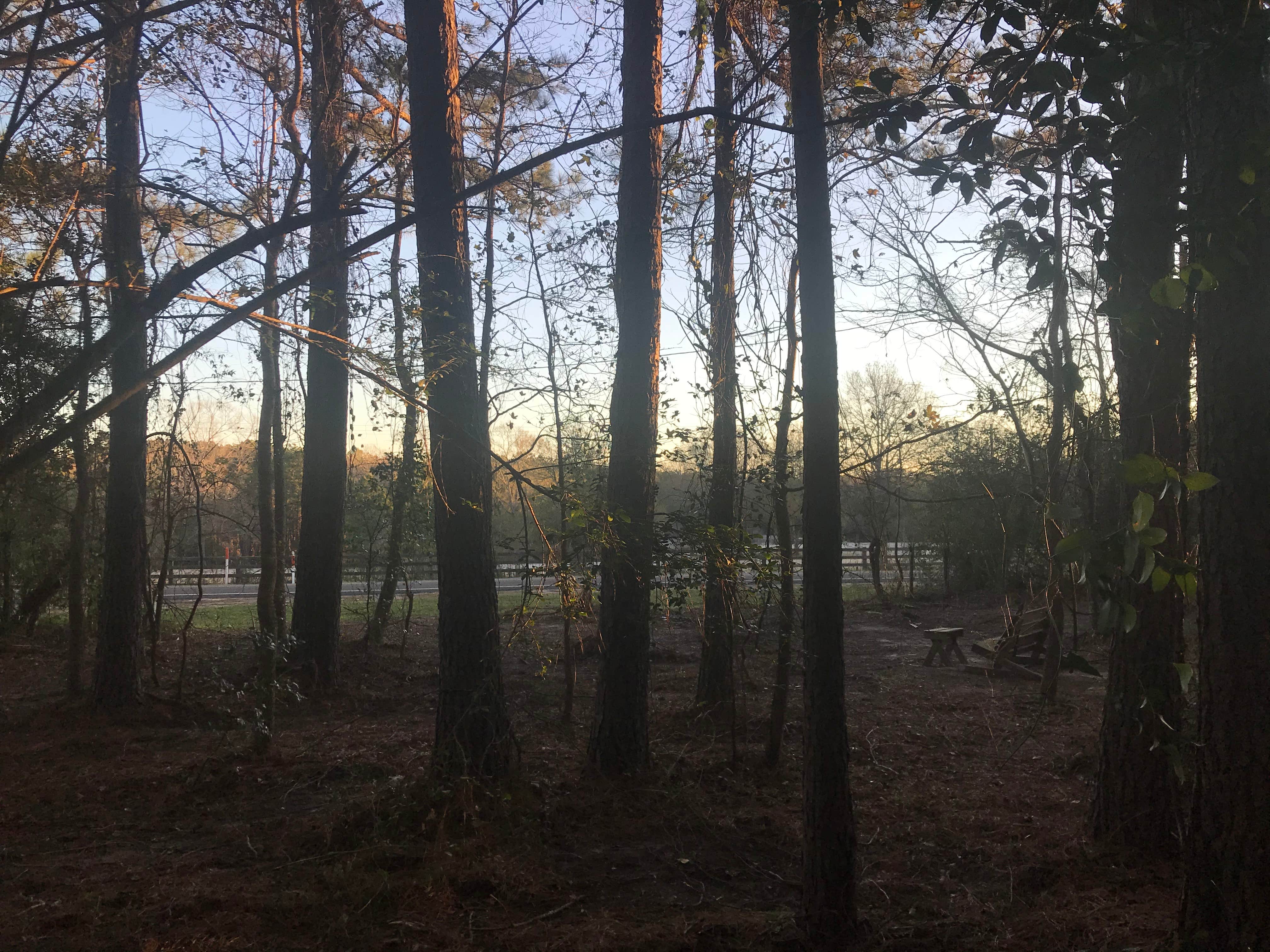 Camper-submitted photo at Hoot Owl Campground near Lufkin, TX