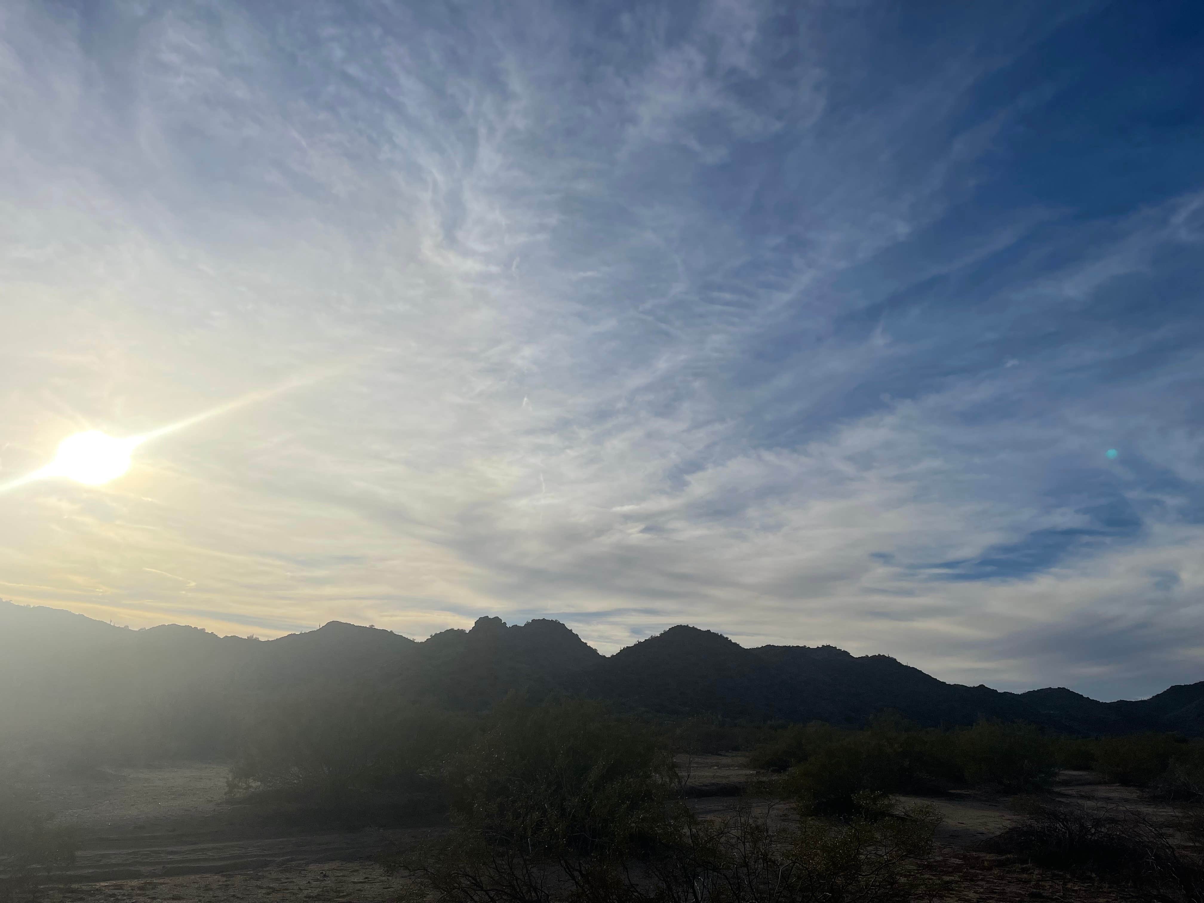 Camper submitted image from Sonoran Monument Dispersed Camping - 2