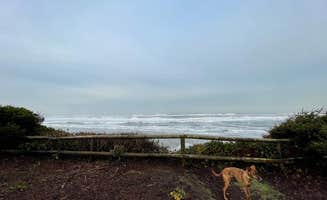 Christine L.'s photo of camping with pets at Tillicum Beach Campground near Otter Rock, OR