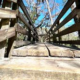 Review photo of Hillsborough River State Park Campground by Tom&Jennifer D., January 14, 2022