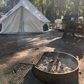 Review photo of Hillsborough River State Park Campground by Tom&Jennifer D., January 14, 2022