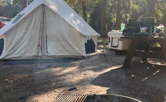 Tom&Jennifer D.'s photo at Hillsborough River State Park Campground near Temple Terrace, FL