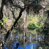 Review photo of Hillsborough River State Park Campground by Tom&Jennifer D., January 14, 2022