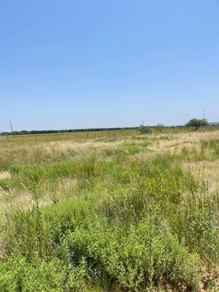 Camper-submitted photo at H bar K Camping near Wayside, TX