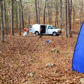 Review photo of Brown Creek Cascade Dispersed Campsite by Fred S., January 14, 2022