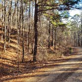 Review photo of Brown Creek Cascade Dispersed Campsite by Fred S., January 14, 2022