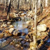 Review photo of Brown Creek Cascade Dispersed Campsite by Fred S., January 14, 2022