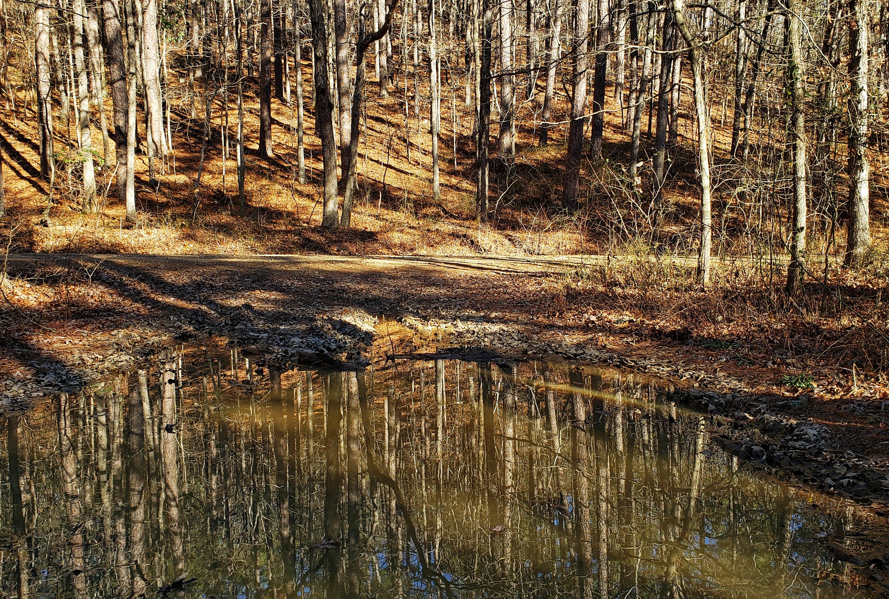 Camper-submitted photo at Brown Creek Cascade Dispersed Campsite near Conway, AR