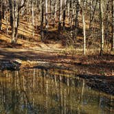 Review photo of Brown Creek Cascade Dispersed Campsite by Fred S., January 14, 2022