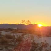 Review photo of Joshua Tree South - BLM Dispersed by Michael B., January 15, 2022