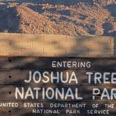 Review photo of Joshua Tree South - BLM Dispersed by Michael B., January 15, 2022