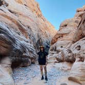 Review photo of Atlatl Rock Campground — Valley of Fire State Park by Emily F., January 15, 2022