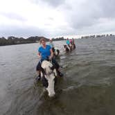 Review photo of Lake Manatee State Park Campground by Justin W., July 9, 2018