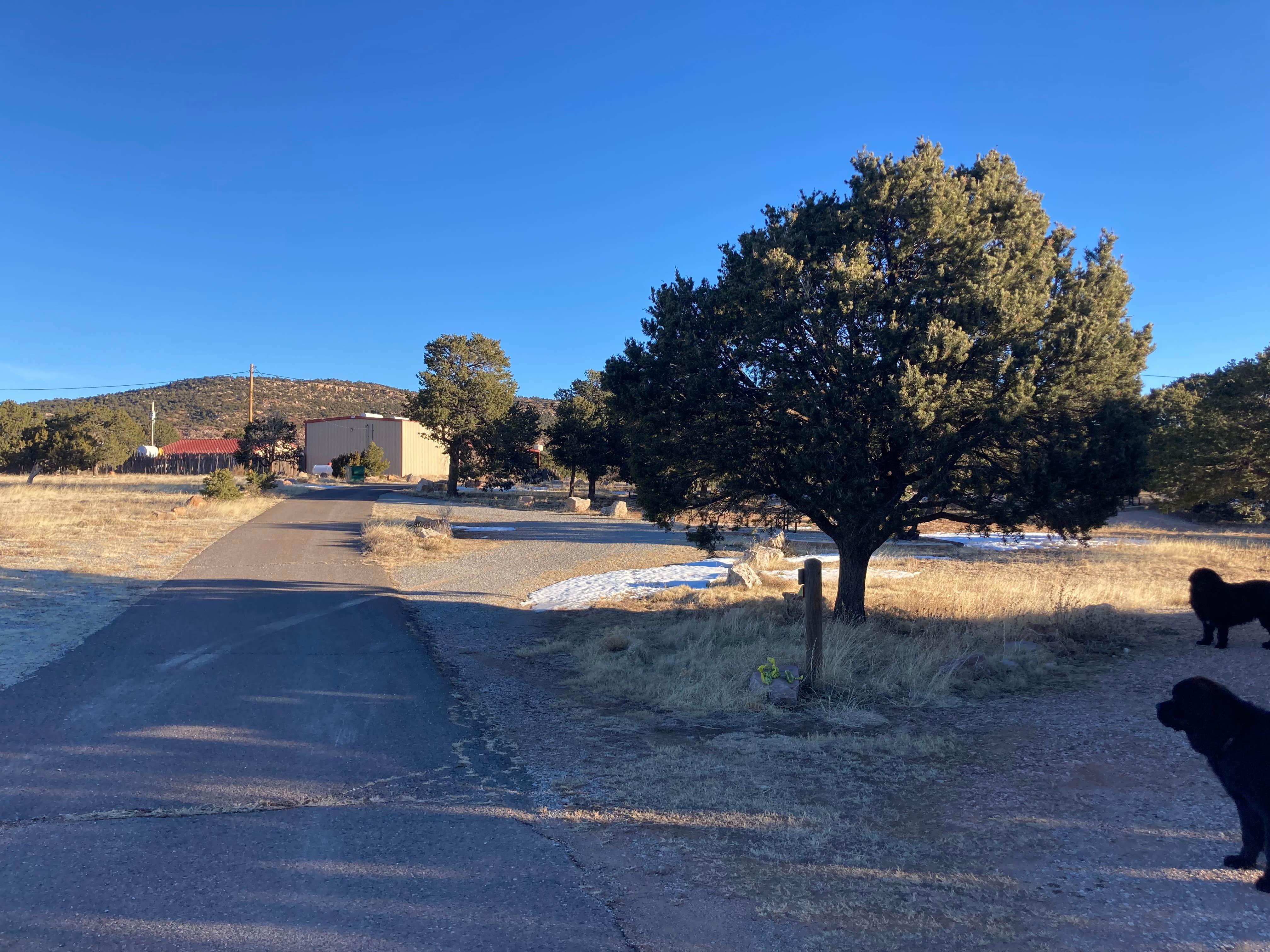 Dan N.'s photo of camping with pets at Bluewater Lake State Park Campground near Laguna, NM