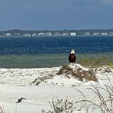 Review photo of Fort Pickens Campground — Gulf Islands National Seashore by Erin  R., January 14, 2022