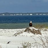 Review photo of Fort Pickens Campground — Gulf Islands National Seashore by Erin  R., January 14, 2022