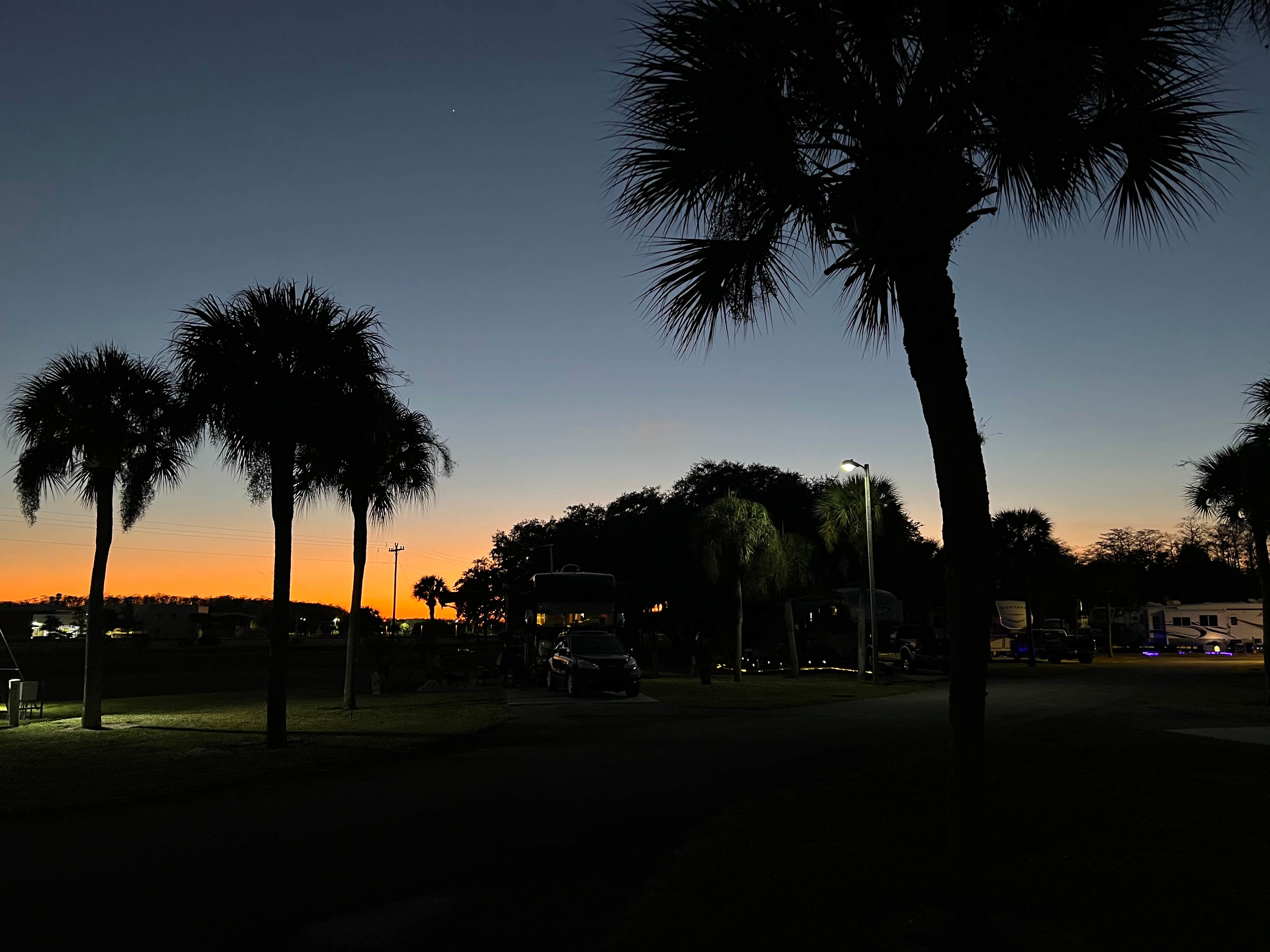 Camper-submitted photo at Big Cypress RV Resort near Big Cypress National Preserve