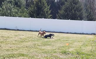 Robert K.'s photo of camping with pets at Kal-Haven Outpost near Benton Harbor, MI