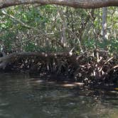 Review photo of Lake Manatee State Park Campground by Justin W., July 9, 2018