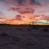 Review photo of Joshua Tree South - BLM Dispersed by Edward K., January 15, 2022