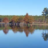 Review photo of Open Pond Recreation Area by Logan J., January 15, 2022