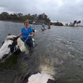 Review photo of Lake Manatee State Park Campground by Justin W., July 9, 2018