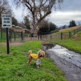 Review photo of Flying Flags RV Resort by C. W., January 16, 2022