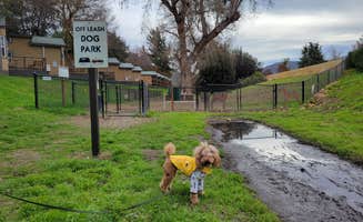 C. W.'s photo of camping with pets at Flying Flags RV Resort near Santa Maria, CA