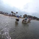 Review photo of Lake Manatee State Park Campground by Justin W., July 9, 2018