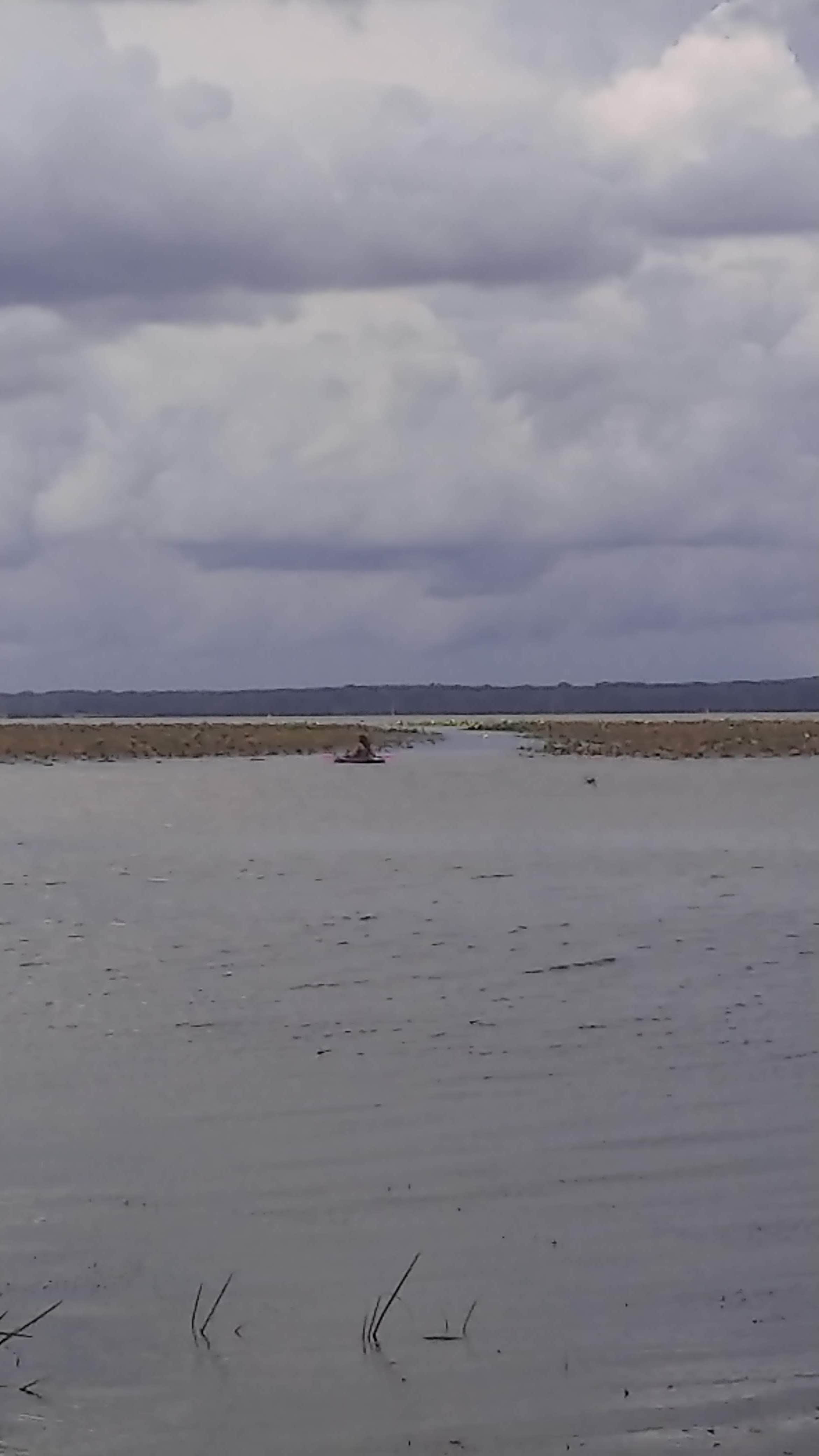 Camper-submitted photo at Bulger's Hollow Recreation Area — Mississippi River Pools 11 22 near Savanna, IL