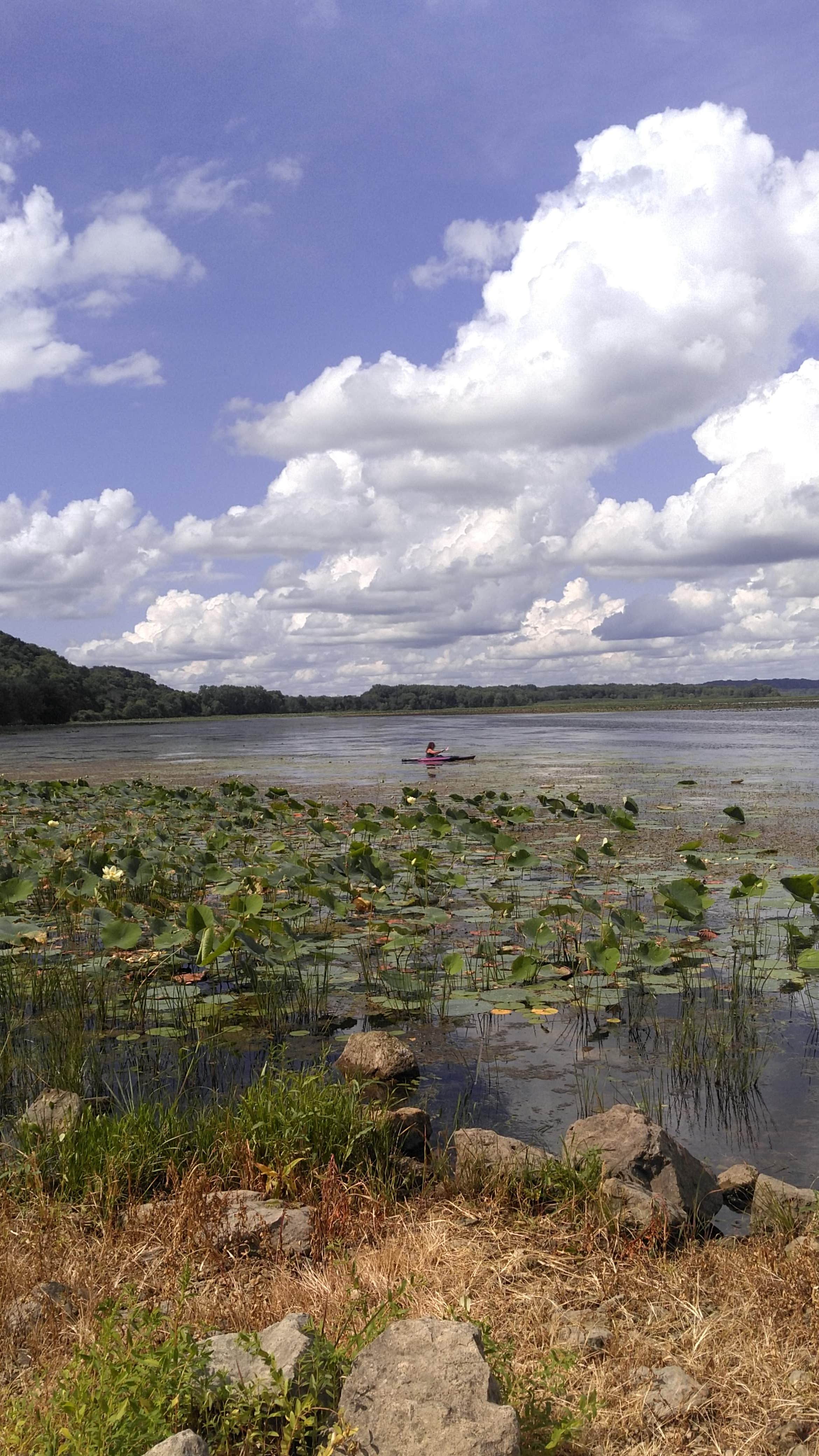 Camper-submitted photo at Bulger's Hollow Recreation Area — Mississippi River Pools 11 22 near Savanna, IL