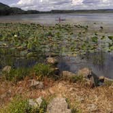 Review photo of Bulger's Hollow Recreation Area — Mississippi River Pools 11 22 by James M., August 29, 2018