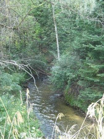 Camper submitted image from Hopkins Creek State Forest Campground - 3