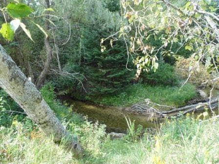 Camper submitted image from Hopkins Creek State Forest Campground - 4