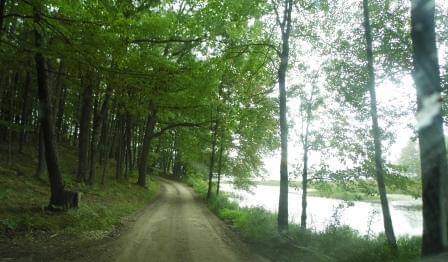 Camper submitted image from Goose Lake State Forest Campground - 2