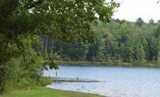 Camping near Cadillac Woods Campground: Goose Lake State Forest Campground, Lake City, Michigan