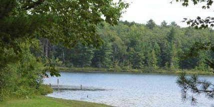 Camper submitted image from Goose Lake State Forest Campground