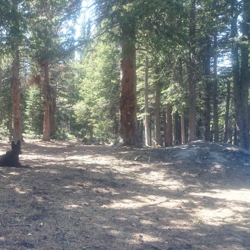 Rainbow Lakes Campground Camping The Dyrt